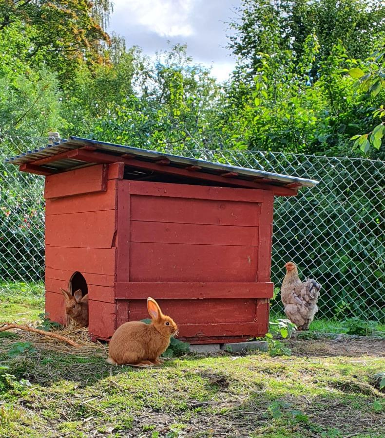 Gramersgarden Soderala Zewnętrze zdjęcie